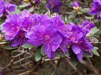 11-05-05kodak_219