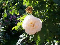 11-07-05kodak_104