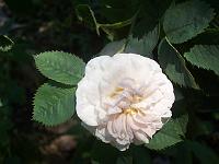 25-06-05kodak_021