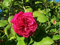 18-06-05kodak_470