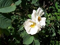 09-07-05kodak_142