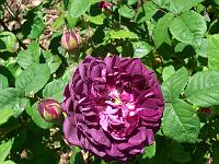 23-06-05kodak_219