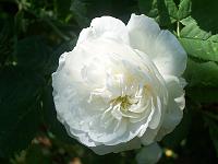 04-07-05kodak_119