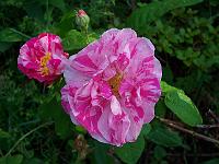 10-07-05kodak_168