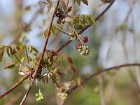 2015-04-15-08-08-31