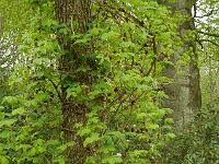 2015-05-08-08-55-53