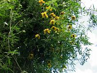 copy_of_290604_014