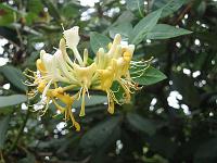 21-08-05canon_019