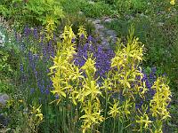 13-07-05kodak_068