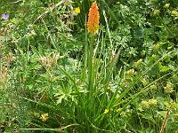 27-06-05kodak_361