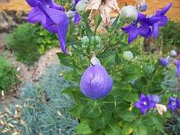 18-07-05kodak_125