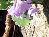 24-04-05kodak_169