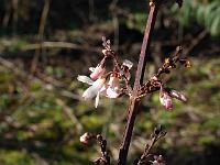 2015-04-05-09-23-06
