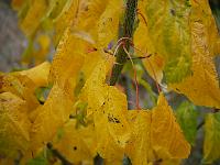 2015-11-03-10-48-48