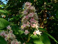 2008-05-22_04-57-39_0127