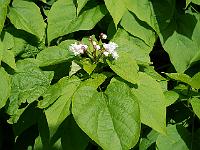 2015-07-21-09-07-08