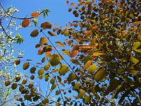 18-05-05kodak_083