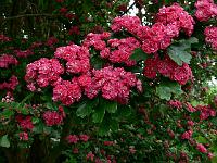 22-05-2007_14-04-31_36