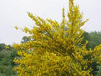 2016-05-24-08-29-20