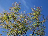 18-06-05kodak_223