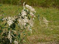 2015-07-08-09-53-42