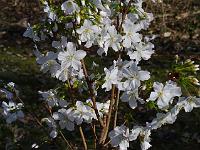 2015-03-11-14-51-31