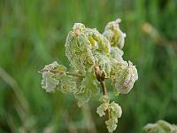 2015-05-20-08-07-37
