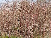 2015-04-05-08-49-13