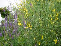 2015-07-03-08-46-36