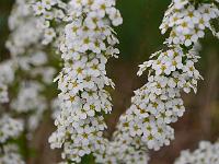 2015-05-14-08-41-50