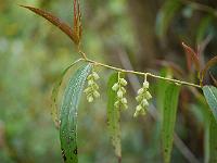 2015-05-16-12-39-31
