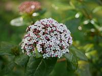 2015-06-04-15-36-21