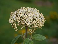 2015-05-13-08-06-50