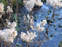 26-11-05canon_112