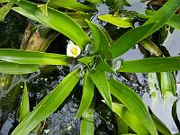 16-06-0kodak_019